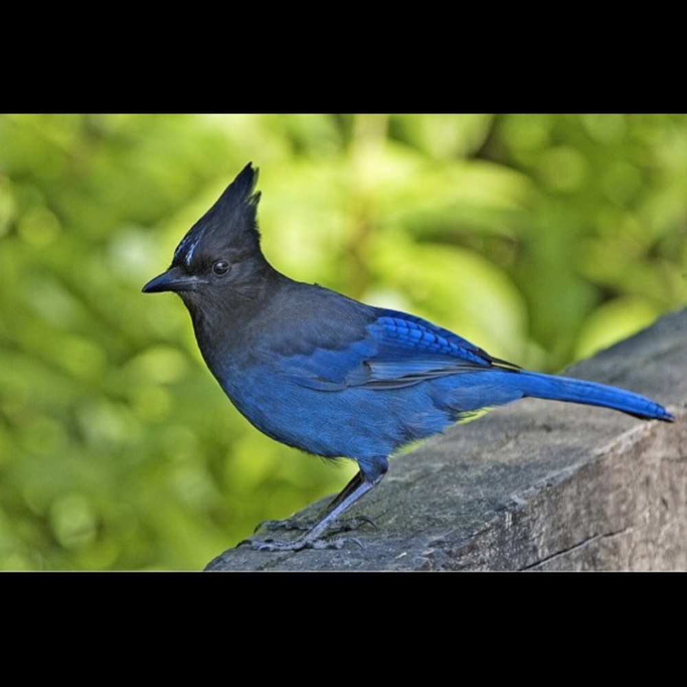 Meet your Posher, Terri